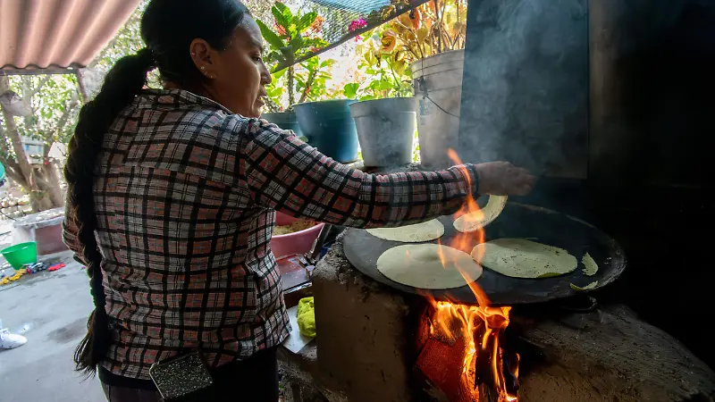 Tortillas de nopal